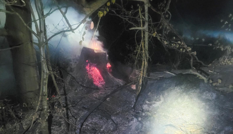 Hasiči v noci na dnešek likvidovali požár v pralese Mionší v Dolní Lomné
