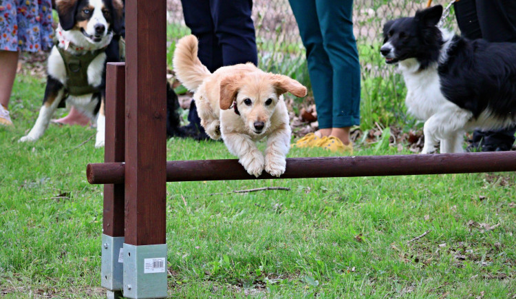 440572655_821517670009569_15167006313497040_n