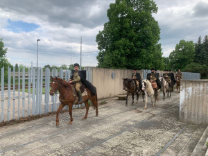 VIDEO: Lidé si na brněnském hřbitově připomněli konec druhé světové války. Milovníci historie přijeli na koních