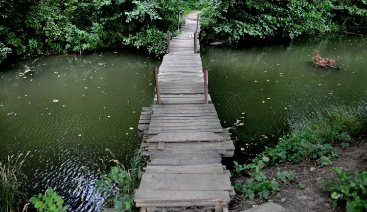 V Břeclavi uvažují, jak využít vodní toky. Chtějí vybudovat odpočinkovou zónu a zaplavit lužní lesy