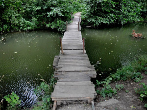 V Břeclavi uvažují, jak využít vodní toky. Chtějí vybudovat odpočinkovou zónu a zaplavit lužní lesy
