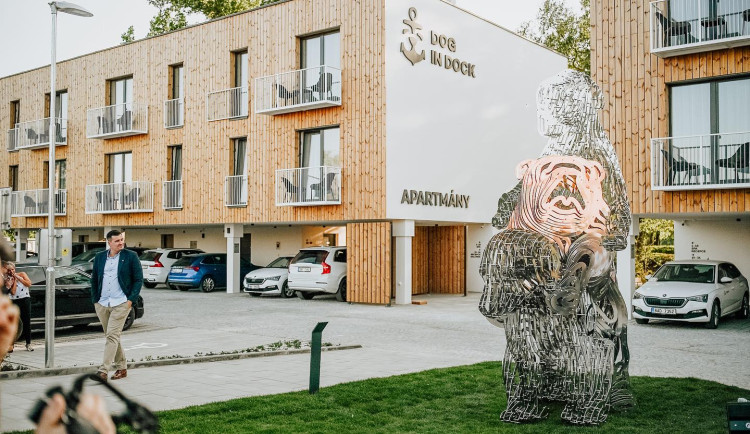 Ve Veselí nad Moravou stojí nová socha Davida Černého. Místní sepsali petici pro odstranění díla