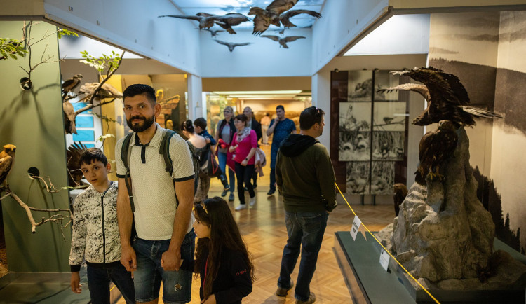 Moravské zemské muzeum_foto_Moravské zemské muzeum (1)