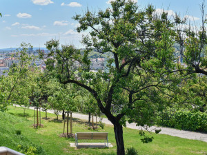 Park s vyhlídkou na Žlutém kopci nad starobrněnským pivovarem se otevřel veřejnosti