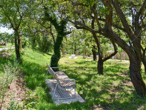 Park s vyhlídkou na Žlutém kopci nad starobrněnským pivovarem se otevřel veřejnosti