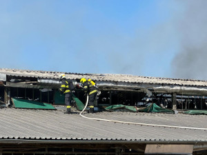 Na Břeclavsku hořela střecha nevyužívané zemědělské budovy. Hasiči vyhlásili druhý stupeň poplachu