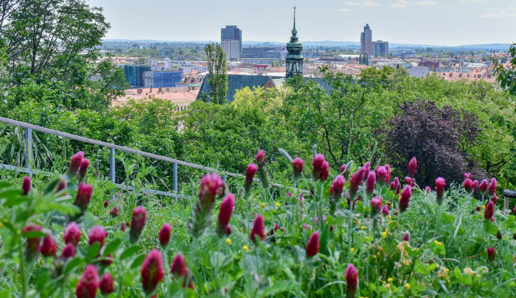 Park s vyhlídkou na Žlutém kopci nad starobrněnským pivovarem se otevřel veřejnosti