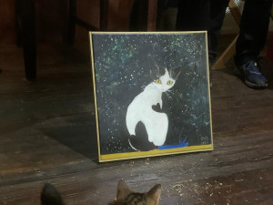 Z týraného kotěte se stala brněnská hvězda. Má vlastní pohádku i obraz, který jde do aukce