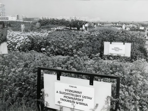 Oslava padesáté Země živitelky bude velkolepá