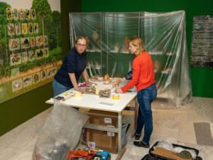 Tisíc tváří Amazonie lidé najdou v Moravském zemském muzeu