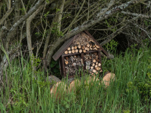 Robot na poli, děti pečující o přírodu. Soutěž E.ON Energy Globe o nejlepší ekologické projekt má šest finalistů