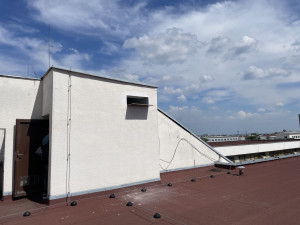 V Brně pozvali opeřence na magistrát. Na střeše jedné z budov postavili holubník