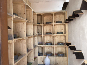 V Brně pozvali opeřence na magistrát. Na střeše jedné z budov postavili holubník