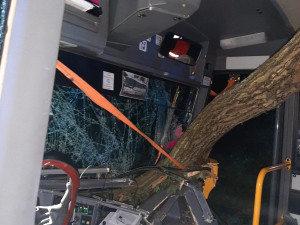 Strom spadl na autobus a uvěznil řidičku za volantem. Skončila v nemocnici