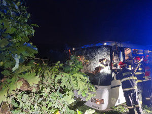 Strom spadl na autobus a uvěznil řidičku za volantem. Skončila v nemocnici