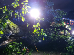 Strom spadl na autobus a uvěznil řidičku za volantem. Skončila v nemocnici