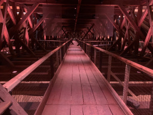 VIDEO: Kostel svatého Jakuba v Brně po tříleté opravě opět otevře brány veřejnosti