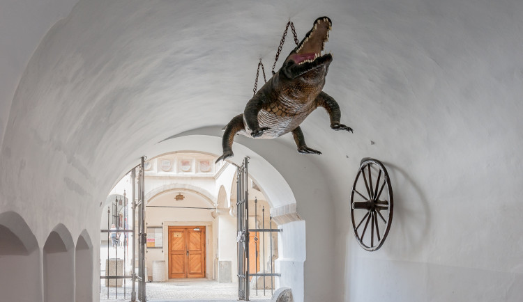 Michal Ruzicka, TICmB