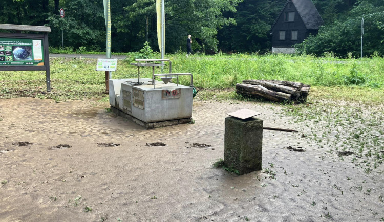 448656198_483185170743202_8311711202659564975_n