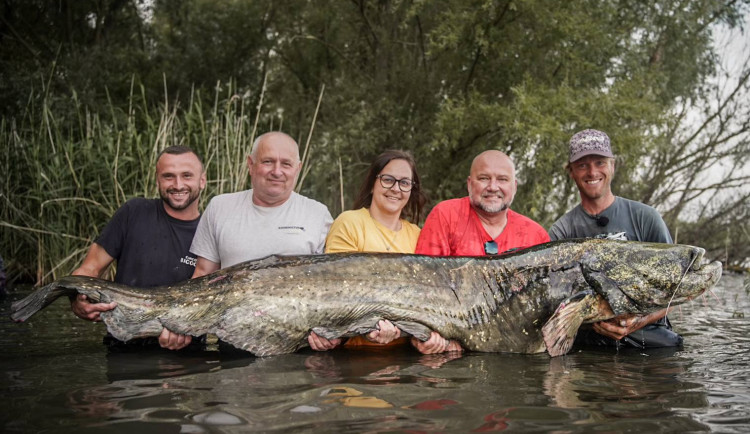 449157237_1073536087468632_4991864037420160025_n