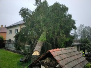 Jihem Moravy se prohnala silná bouřka. V kempu na Znojemsku spadl strom na stan a zranil člověka