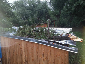 Jihem Moravy se prohnala silná bouřka. V kempu na Znojemsku spadl strom na stan a zranil člověka