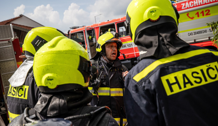 Některá vosí nebo sršní hnízda nechávají hasiče v ledovém klidu