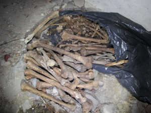 Jihomoravská policie ročně prověřuje asi deseti nálezů lidských kostí. Ty často pochází z bývalých hřbitovů
