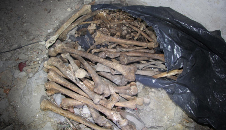 Jihomoravská policie ročně prověřuje kolem deseti nálezů lidských kostí