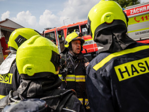 Některá vosí nebo sršní hnízda nechávají hasiče v ledovém klidu