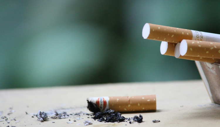 Muž v Náměšti kouřil na lodžii. Od popelu z cigarety chytl květináč a popelník