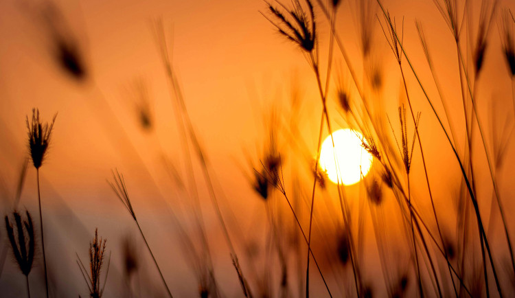 Červenec očima meteorologů. V Jihlavě byly čtyři dny tropické, nejtepleji bylo 10. července