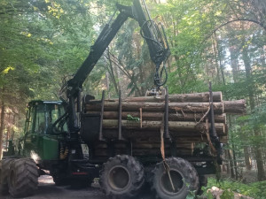 Lesníci z Mendelovy univerzity mají odbyt pro většinu dřeva po bouři. Vyklízení lesů jim jde od ruky
