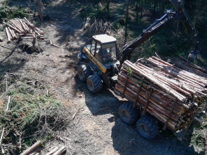 Lesníci z Mendelovy univerzity mají odbyt pro většinu dřeva po bouři. Vyklízení lesů jim jde od ruky