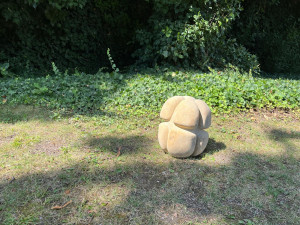 Lidé si pod vedením umělce vyzkoušeli sochařinu. Svá díla vystavují v zahradě brněnské vily