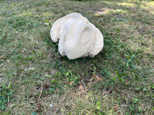 Lidé si pod vedením umělce vyzkoušeli sochařinu. Svá díla vystavují v zahradě brněnské vily