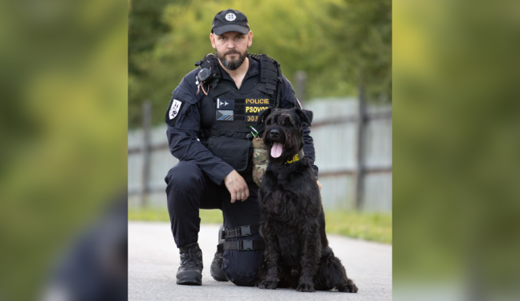 Pes Deseo s páníčkem.