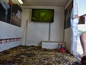 Albertova Krutokára míří do Brna. Obránci zvířat upozorňují na otřesné podmínky kuřat chovaných pro supermarket