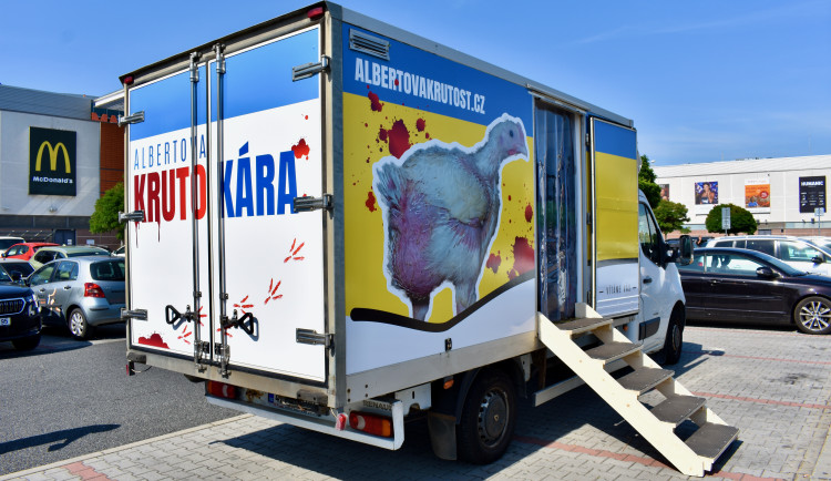 Albertova Krutokára míří do Brna. Obránci zvířat upozorňují na otřesné podmínky kuřat chovaných pro supermarket