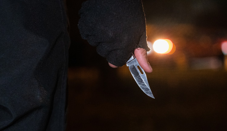 17240095455728-139-kriminalita-1