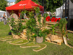 Hudba, zábava, přednáška a ochrana přírody. Ekofestival míří poprvé do Brna