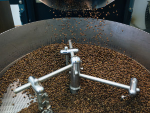 Jan Vu _janvuphoto@gmail.com