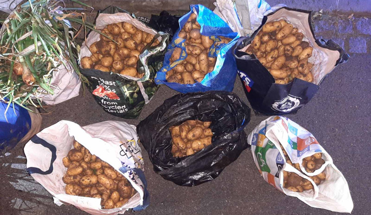 Řidič v nákladovém prostoru rozpadající se dodávky převzal dva muže a nakradené plodiny z pole