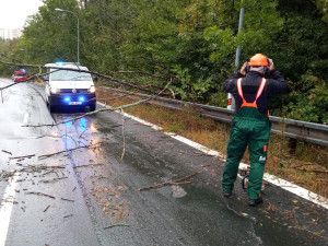 Větev spadla těsně vedle mladé ženy s kočárkem. Nechoďte do lesů ani parků, varují strážníci