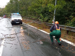 Větev spadla těsně vedle mladé ženy s kočárkem. Nechoďte do lesů ani parků, varují strážníci