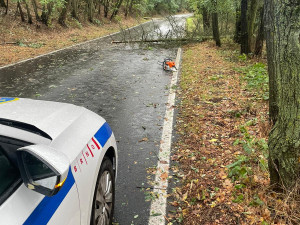 Větev spadla těsně vedle mladé ženy s kočárkem. Nechoďte do lesů ani parků, varují strážníci