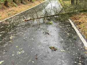 Větev spadla těsně vedle mladé ženy s kočárkem. Nechoďte do lesů ani parků, varují strážníci