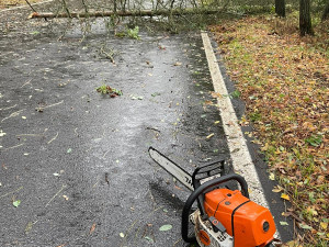 Větev spadla těsně vedle mladé ženy s kočárkem. Nechoďte do lesů ani parků, varují strážníci