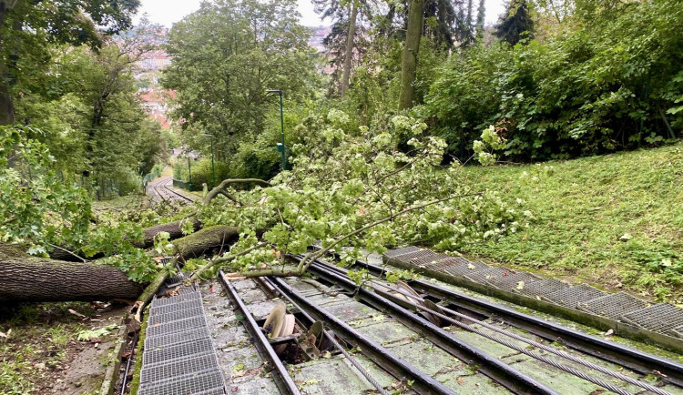 Na dráhu lanovky na Petřín spadl strom. Na vině je nejspíš podmáčená půda