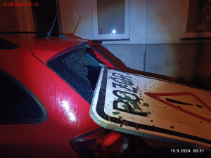 Vyvrácené stromy a polámané větve poničily auta v Brně